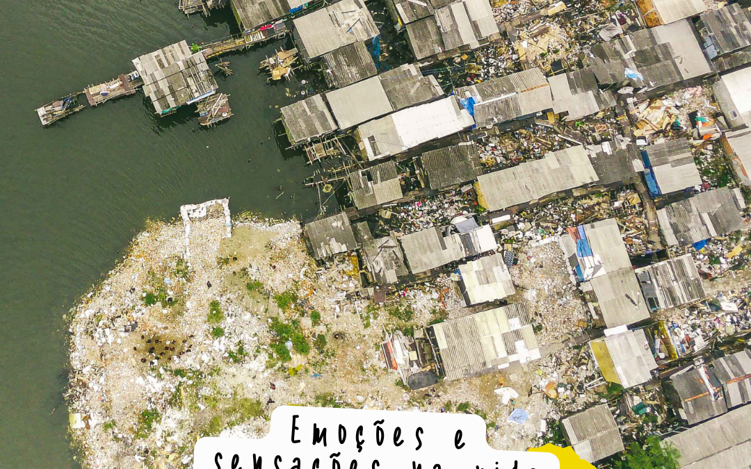AVENTURAS NO VILAREJO: emoções e sensações na vida cotidiana de um território.